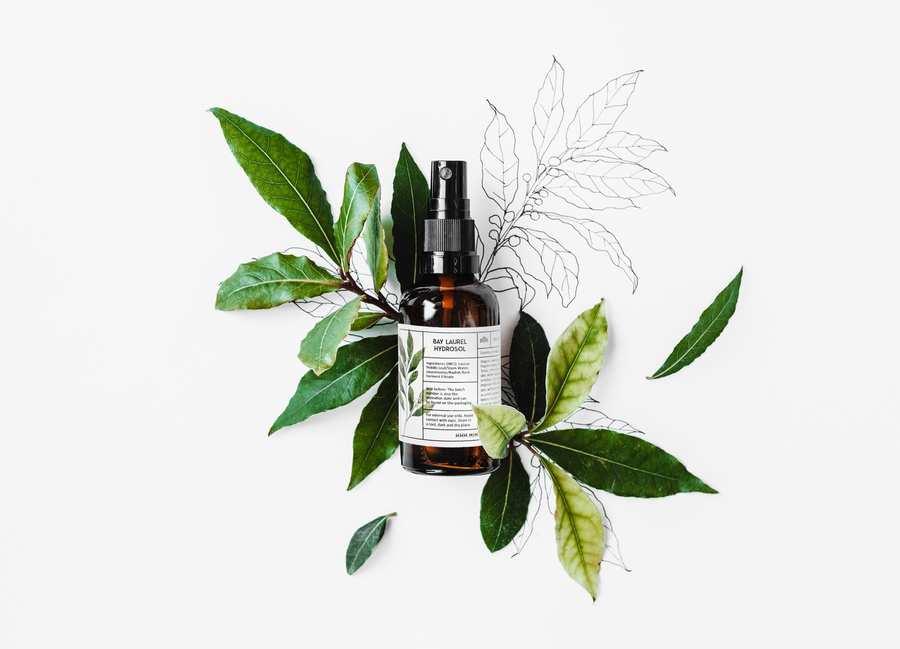 Bay laurel: organic hydrosol