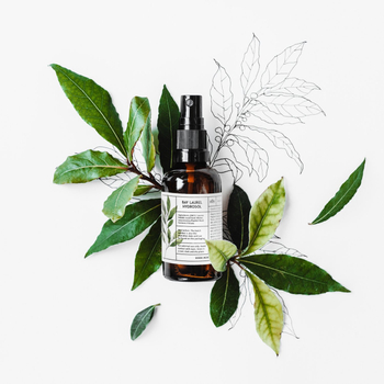 Bay laurel: organic hydrosol